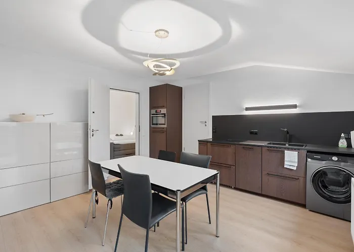 Bodensee 29 Mit Kueche Und Garten