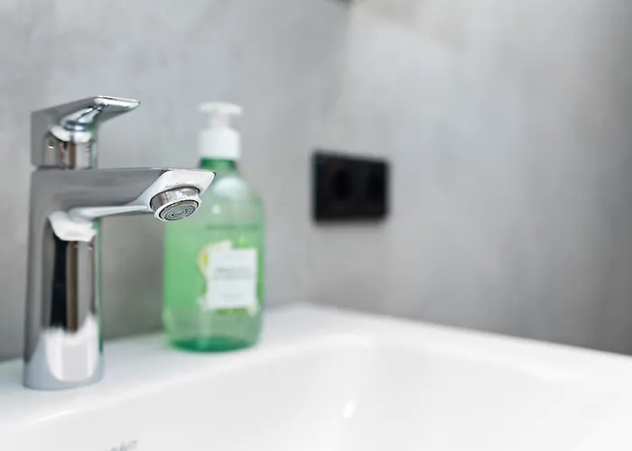 Appartamento Bodensee 29 Mit Kueche Und Garten Friedrichshafen