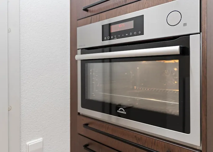 Bodensee 29 Mit Kueche Und Garten Friedrichshafen